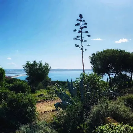 Apartment + Terrasse Vue Dans Un Parc De 3 Ha Hyeres
