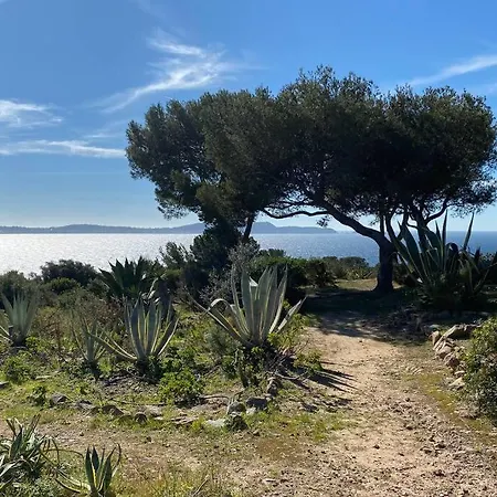 + Terrasse Vue Dans Un Parc De 3 Ha Hyeres